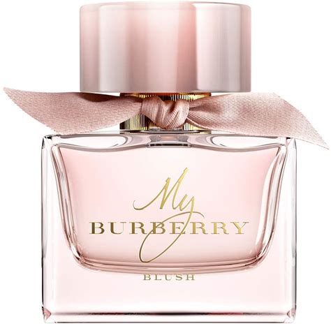 my burberry notes|my burberry sample.